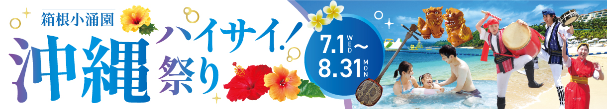 沖縄ハイサイ祭り